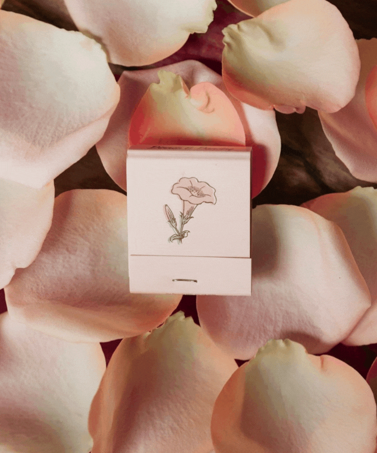 The Nice Guy — Custom printed packaging by Shureprint